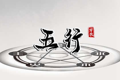 新浪紫微命盘 命盘详细解释 明星紫微斗数命盘 紫微测名 本命盘解析 元亨紫微排盘系统